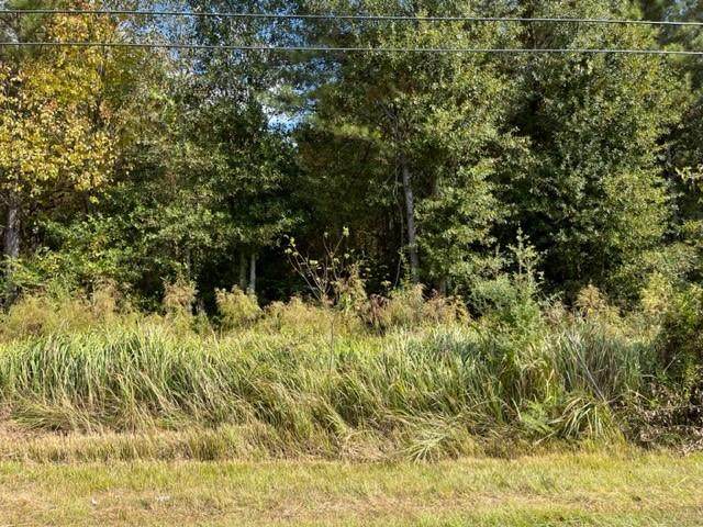00 Moeller Rd Lot 2 - Photo 1