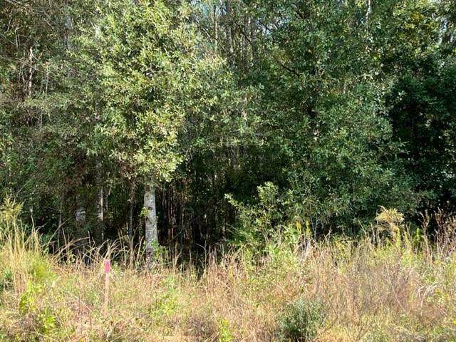 00 Moeller Rd Lot 1 - Photo 1