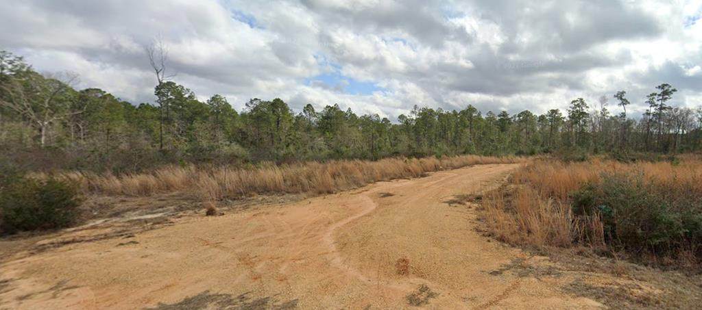 000 Dummy Line Rd - Photo 1