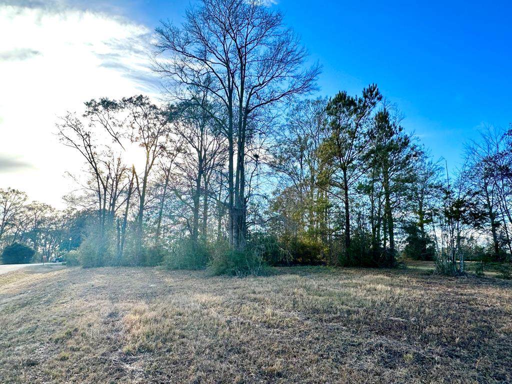 Lot34 Oak Haven Dr - Photo 1