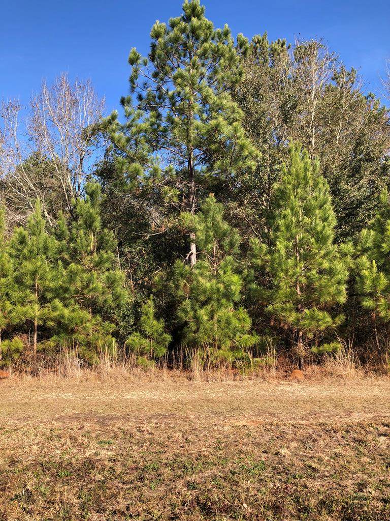 0 Springfield Dr - Photo 1