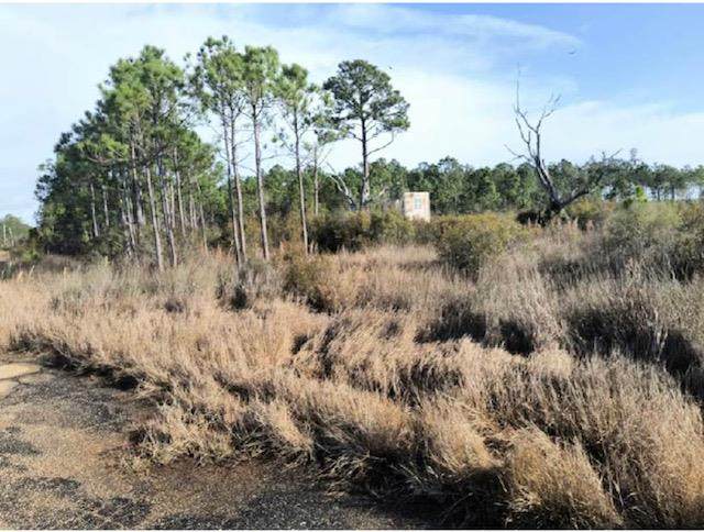0 Grand Plains Bayou Dr. - Photo 1