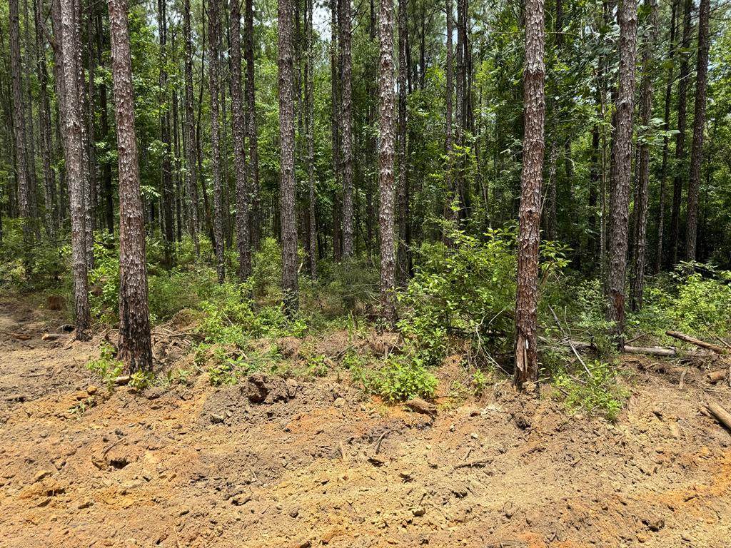 00 Tract # 10 Burgetown Rd - Photo 1