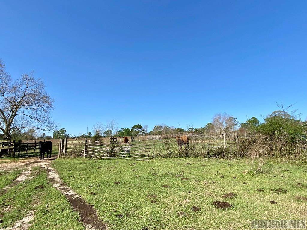 98 Juniper Grove Road - Photo 1