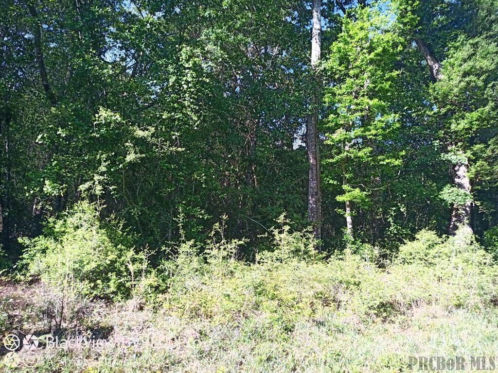 NHA Timber Bluff - Photo 1