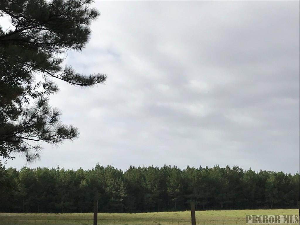 00 Hwy. 43 North - Photo 1