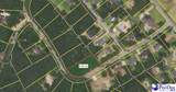 Lot 59 Country Club Road - Photo 2