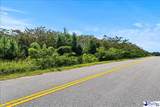 TBD Bull Dog Road - Photo 3