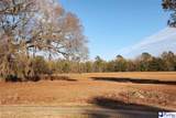 100 Acres Claussen Pointe - Photo 6