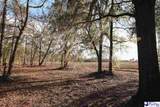 100 Acres Claussen Pointe - Photo 8