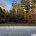 103 Cedar Ridge Rd. And N. Governor Williams Hwy. - Photo 6