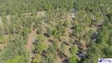 1315 Hill Harrell Road - Photo 26