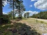 7.39 +/- Acres Evans Mill Road - Photo 2