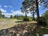 7.39 +/- Acres Evans Mill Road - Photo 3