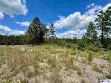 7.39 +/- Acres Evans Mill Road - Photo 5