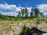 7.39 +/- Acres Evans Mill Road - Photo 6