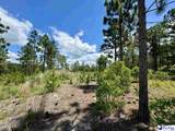 7.39 +/- Acres Evans Mill Road - Photo 7