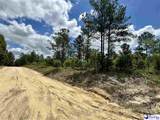 7.39 +/- Acres Evans Mill Road - Photo 9