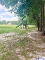 2630 Mclaurin Lake Circle - Photo 48