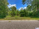 Lot 13 Gasque Drive - Photo 2