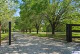 4701 Hoffmeyer Rd - Photo 2