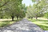 4701 Hoffmeyer Rd - Photo 3