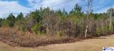 TBD Bennettsville Firetower Road - Photo 2