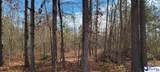 TBD Bennettsville Firetower Road - Photo 4