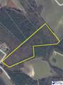 TBD Bennettsville Firetower Road - Photo 5
