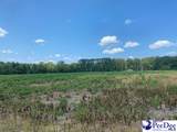 2639 Cale Yarborough Highway - Photo 1