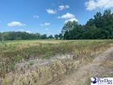 2639 Cale Yarborough Highway - Photo 10