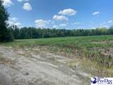2639 Cale Yarborough Highway - Photo 11