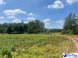 2639 Cale Yarborough Highway - Photo 14