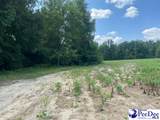 2639 Cale Yarborough Highway - Photo 9