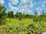 817 Riley Road - Photo 10