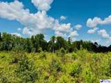 817 Riley Road - Photo 12