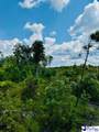 817 Riley Road - Photo 16