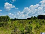 817 Riley Road - Photo 6