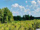 817 Riley Road - Photo 9