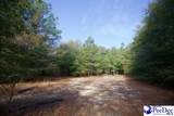 TBD Goose Pond Ln (Tract 1) - Photo 2