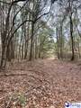 TBD Goose Pond Ln (Tract 1) - Photo 4