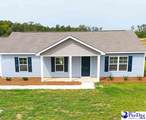 5168 Old Marion Hwy - Photo 45
