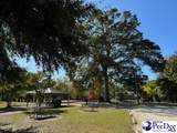 305 Marion Avenue - Photo 3