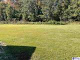 502 Dianne Drive - Photo 8