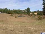 1315 Long Leaf Dr - Photo 6
