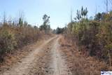000 Country Manor Rd - Photo 15