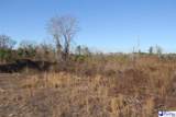 000 Country Manor Rd - Photo 16