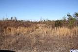 000 Country Manor Rd - Photo 5