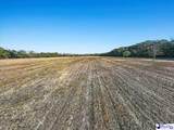 5.34 Acres Tract 6 Off Flinn Rd - Photo 10