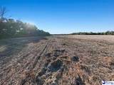 5.34 Acres Tract 6 Off Flinn Rd - Photo 11